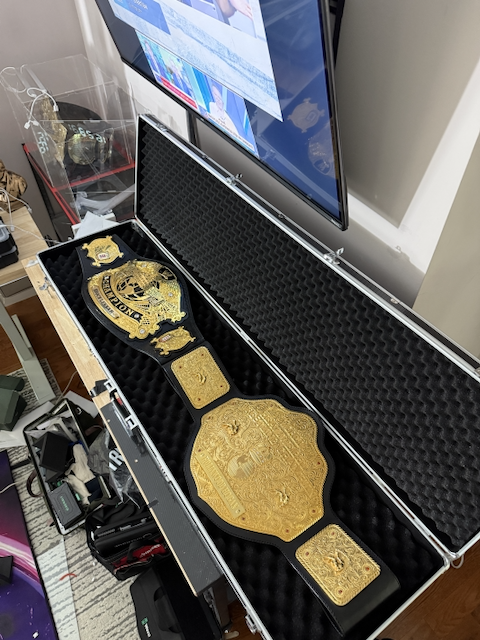 Belt Briefcase